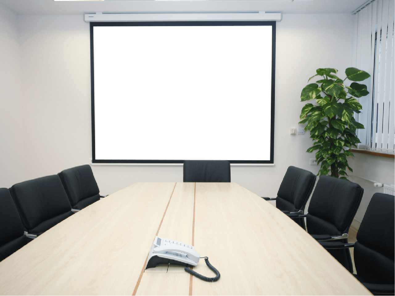 Video Conferencing Solutions For Increased Productivity